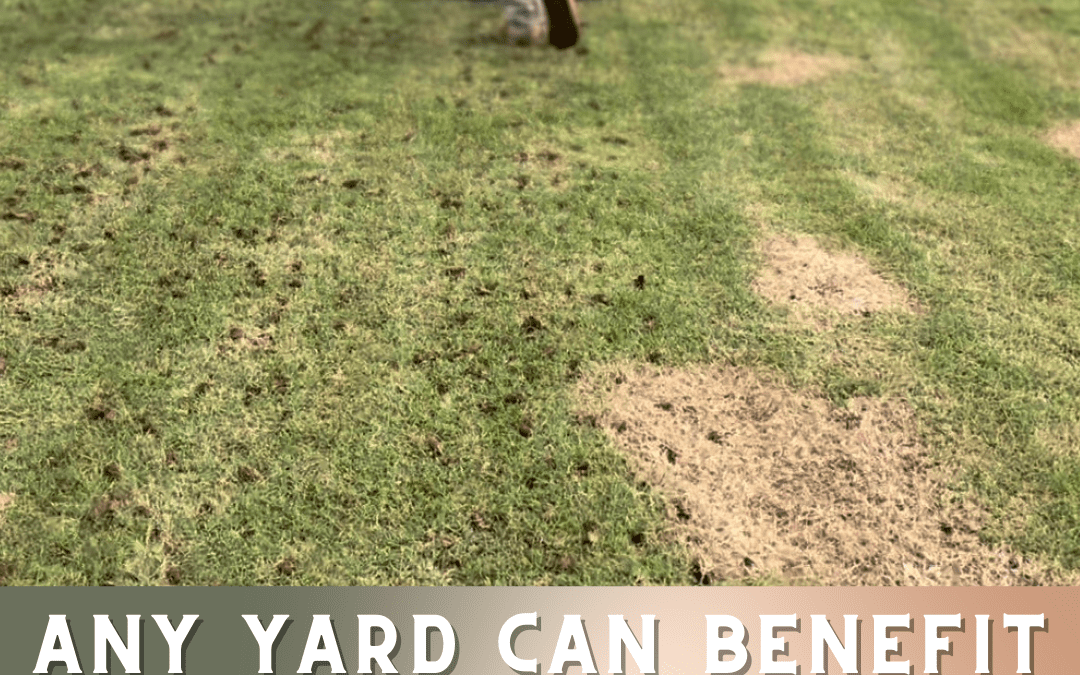 Any Yard Can Benefit From Aeration