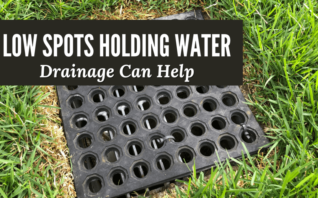 Low Spots Holding Water: Drainage Can Help