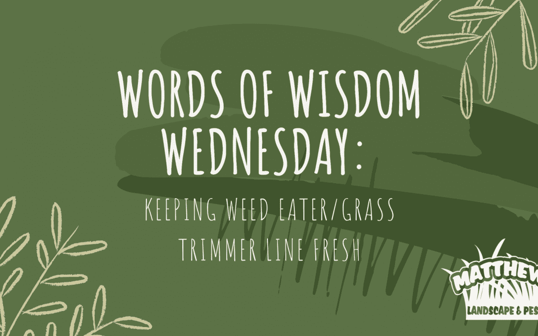 Words of Wisdom Wednesday: Keeping Weed Eater/Grass Trimmer Line Fresh
