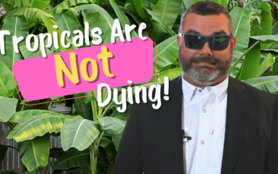 Tropicals Are NOT Dying!
