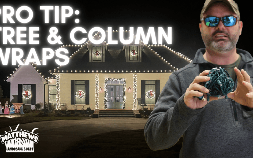 Pro Tip: Tree & Column Wraps