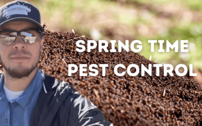 Spring Pest Control