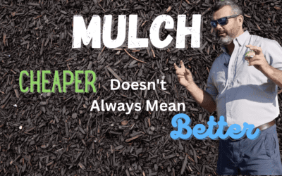 Not All Mulch Is Created Equal