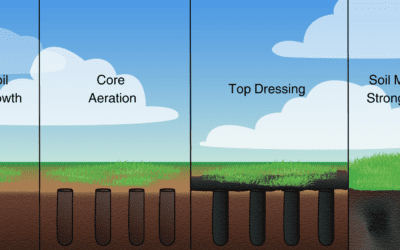 What Is Topdressing?