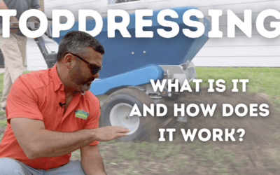Topdressing: What is it and how does it work?