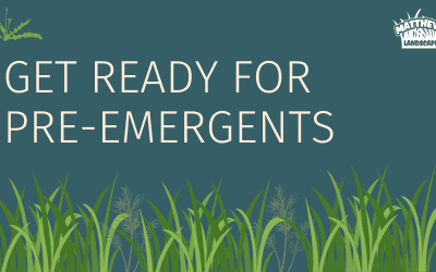 It’s Time to Think About Pre-emergents