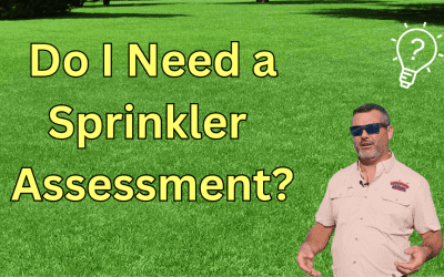 Do I Need a Sprinkler System Assessment?