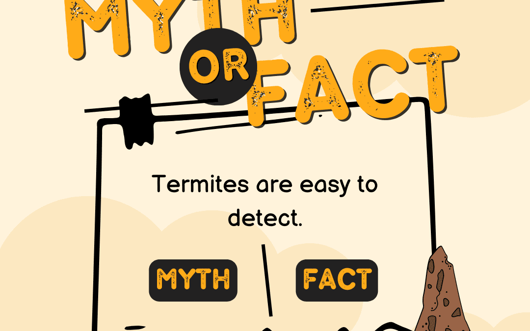 Termites: Fact vs Myth