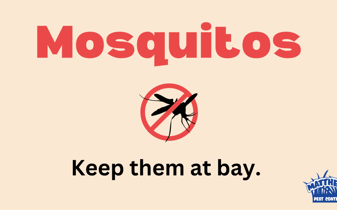 Mosquitos: Keep Them at Bay