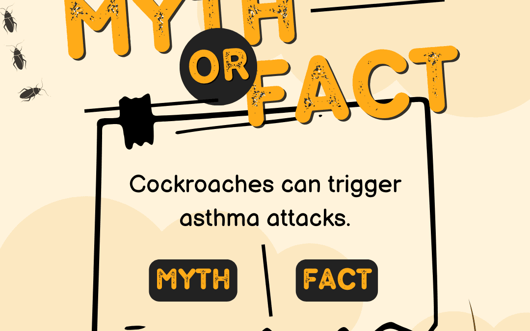 Cockroaches: Myth or Fact?