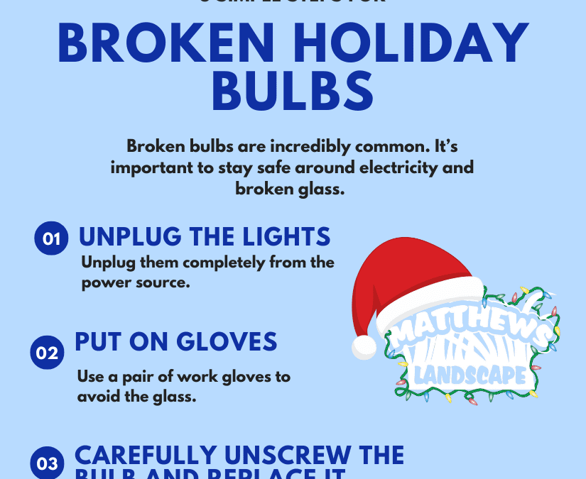 3 Steps for Dealing With Broken Bulbs