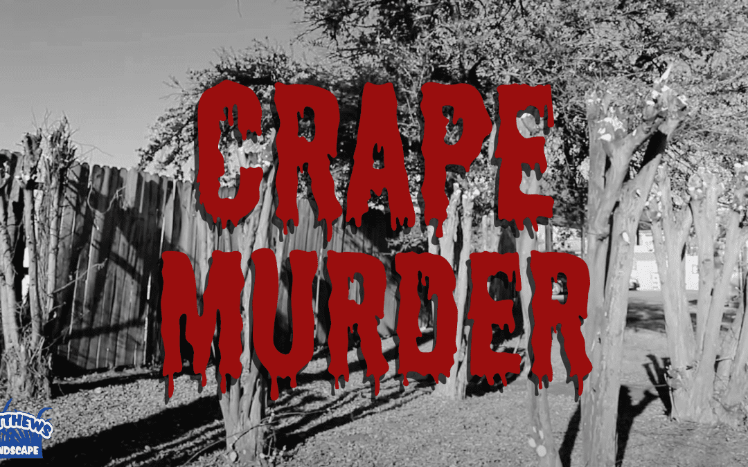 The Horrors of Crape Murder