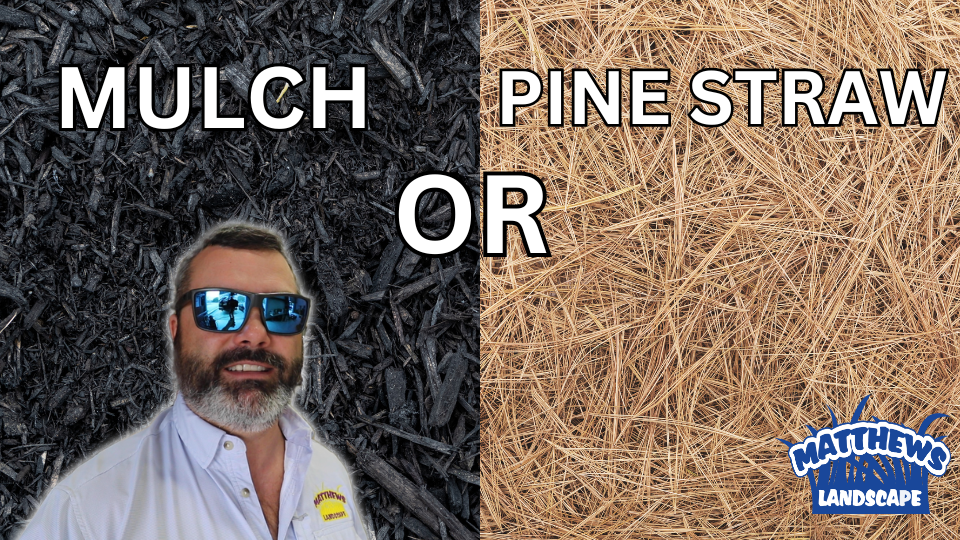 Should I Use Mulch or Pine Straw?