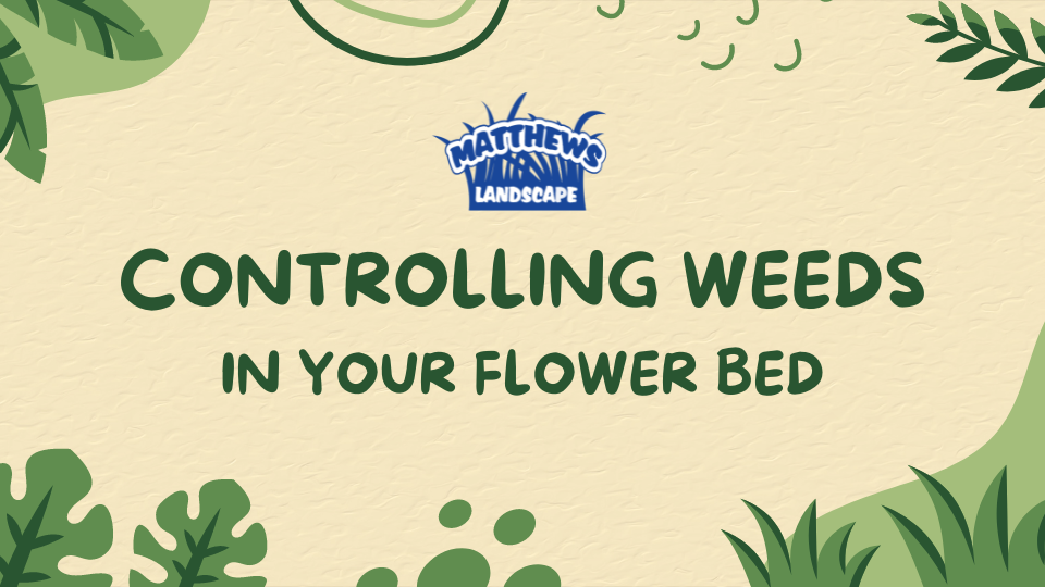 How to Control Weeds in Your Flower Beds
