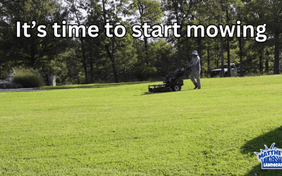 It’s Time To Mow Your Grass
