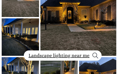 Glow Up Your Yard With Landscape Lighting