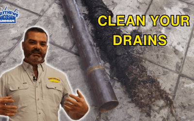 What Happens If You Don’t Clean Your Drains