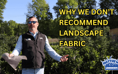 Why We Don’t Recommend Landscape Fabric