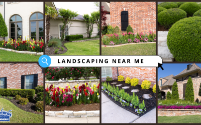 Your Expert Landscapers