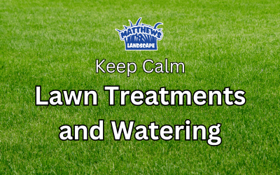 Lawn Applications and Watering (Spring 2024)