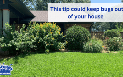 This Tip Could Help Keep Pests Out Of Your Home