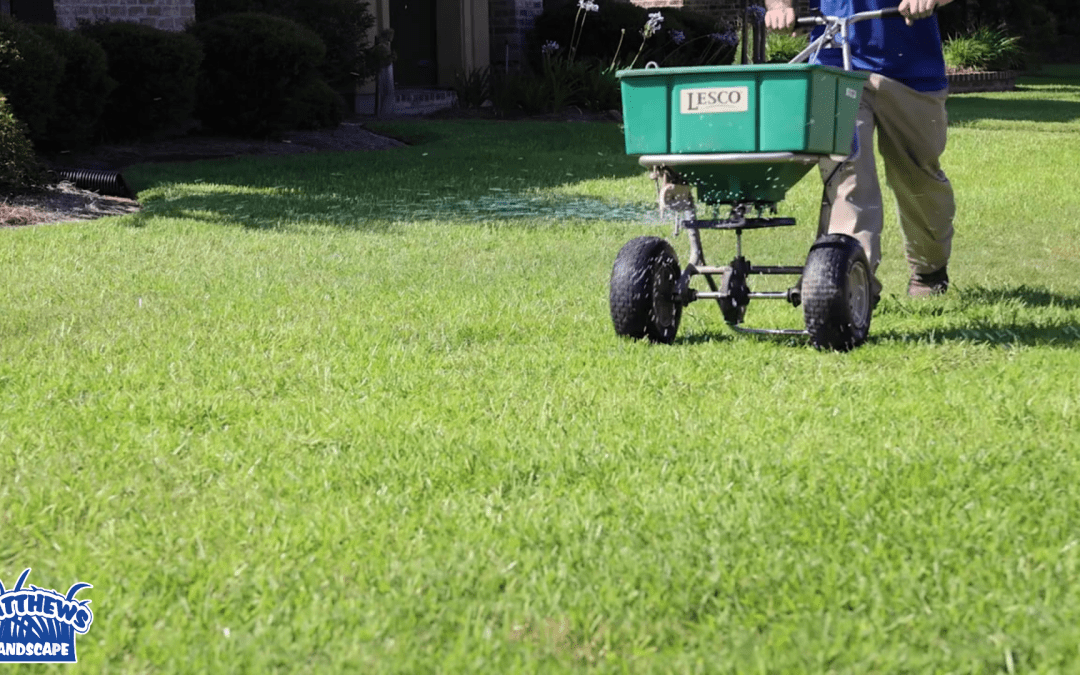 Great Lawns Take Work. We’re Here to Help