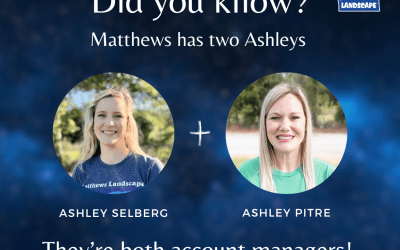 Meet Our Account Managers: The Ashleys
