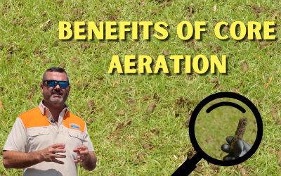 What Are the Benefits of Core Aeration?