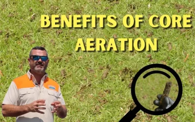 What Are the Benefits of Core Aeration?