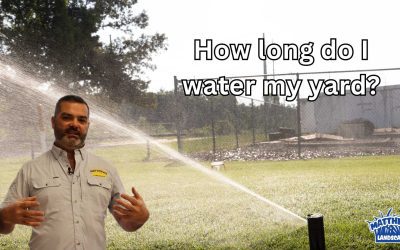 Summer Watering Tips: How Long Do I Water My Yard?