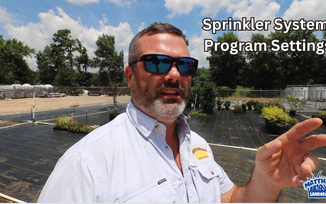 Sprinkler System Settings: Summer Watering Tips