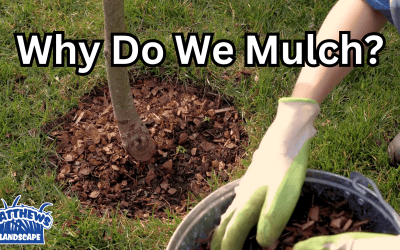 Why Do We Mulch?