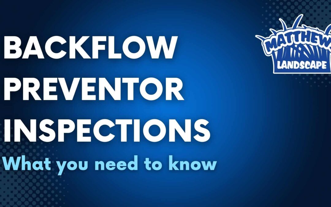 Backflow Preventer Inspections: What You Need to Know