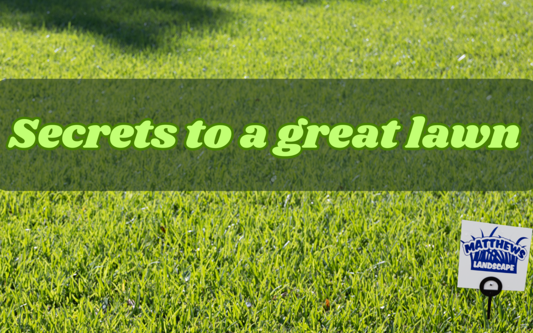 Secrets to a Healthy Lawn