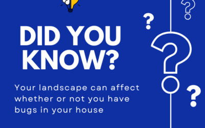 Does Your Landscape Attract Pests?