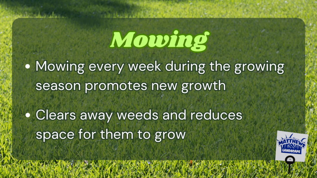 -Mowing every week during the growing season promotes new growth
-Clears away weeds and reduces space for them to grow