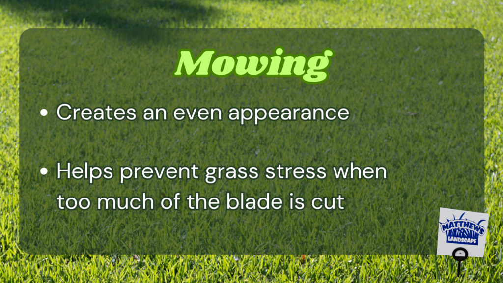 -Helps prevent grass stress when too much of the blade is cut