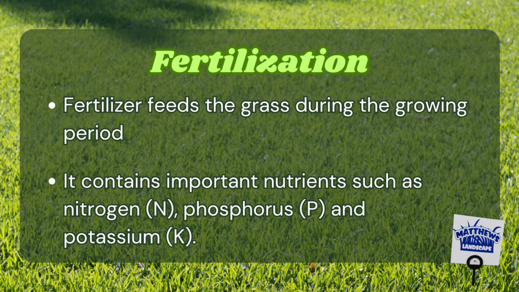 -Fertilizer feeds the grass during the growing period
-It contains important nutrients such as nitrogen (N), phosphorus (P) and potassium (K).