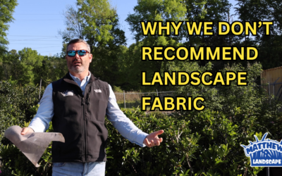 Why We Don’t Recommend Landscape Fabric