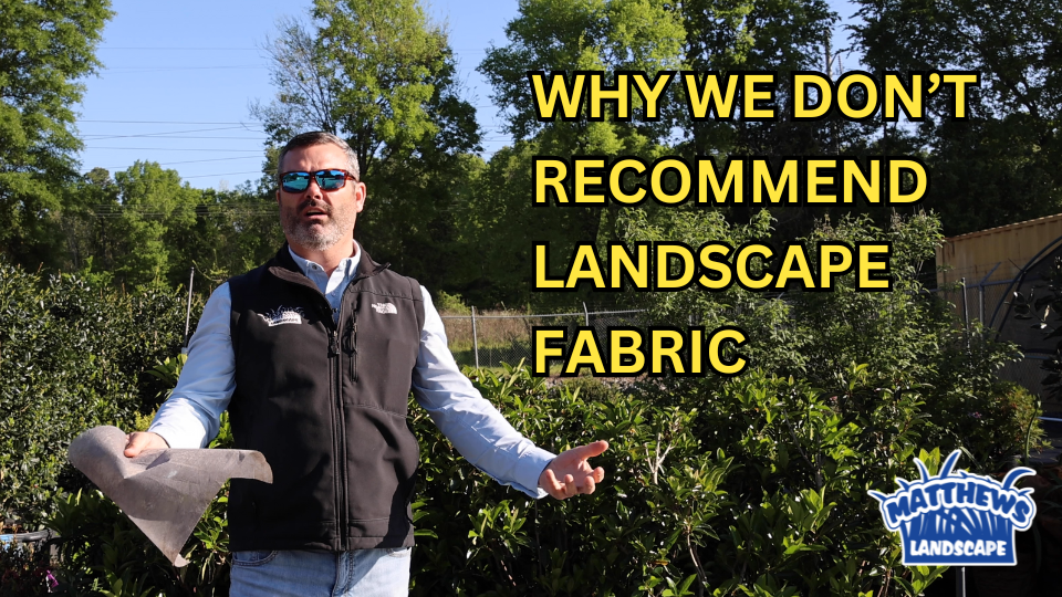 Why We Don’t Recommend Landscape Fabric