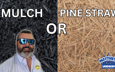 Should You Use Mulch or Pine Straw?