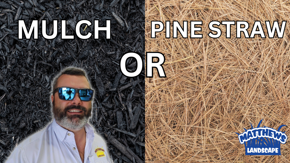 mulch or pine straw