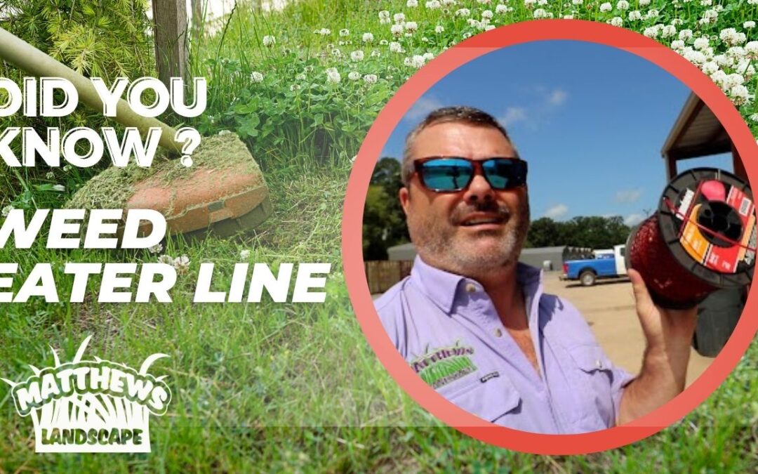 Did You Know? Weed Eater Line