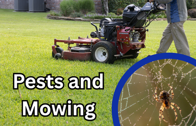 Pests and Mowing