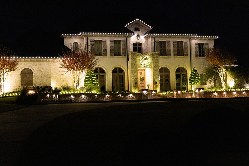 Outdoor trees wrapped with sparkling white holiday lights