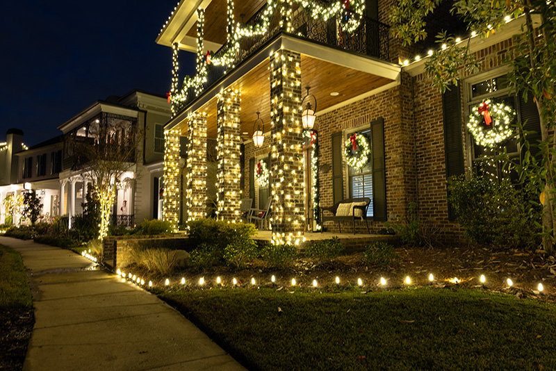 Large evergreen tree brightly lit for the holiday season